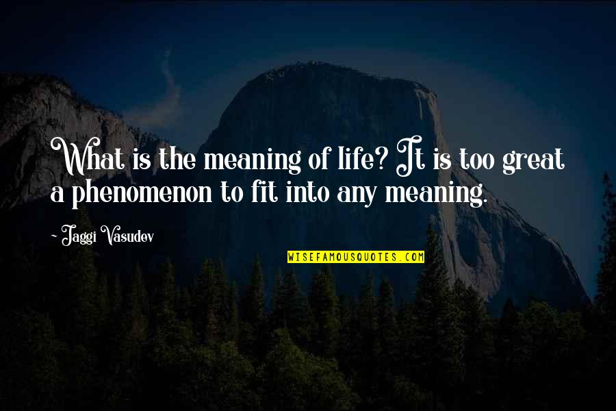 Fit Life Quotes By Jaggi Vasudev: What is the meaning of life? It is