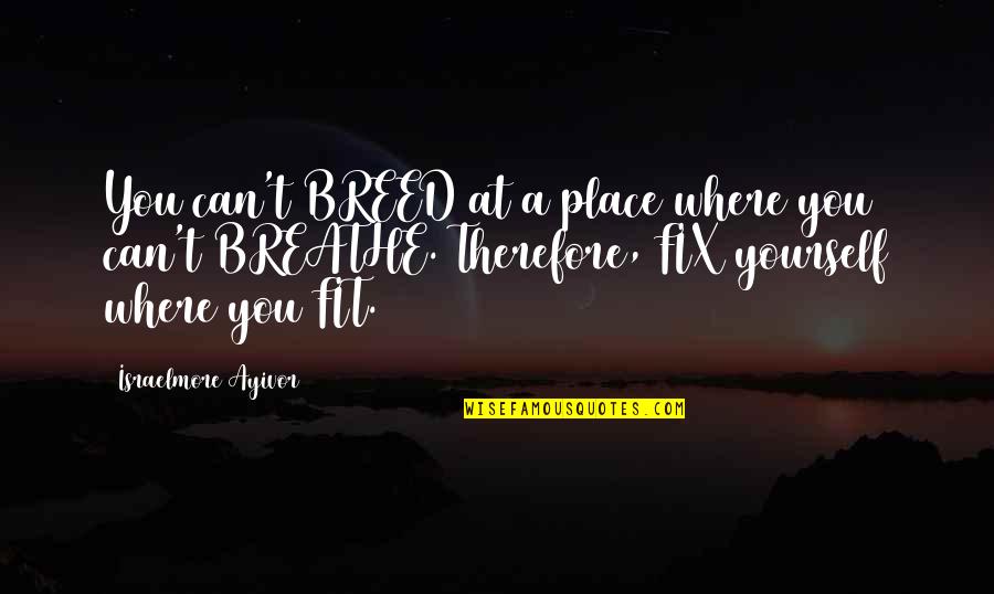 Fit Right Quotes By Israelmore Ayivor: You can't BREED at a place where you Fit Right Quotes By Israelmore Ayivor: You can't BREED at a place where you