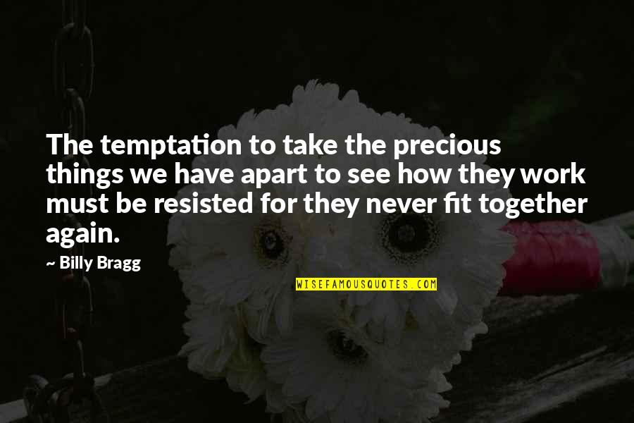 Fit Together Quotes By Billy Bragg: The temptation to take the precious things we
