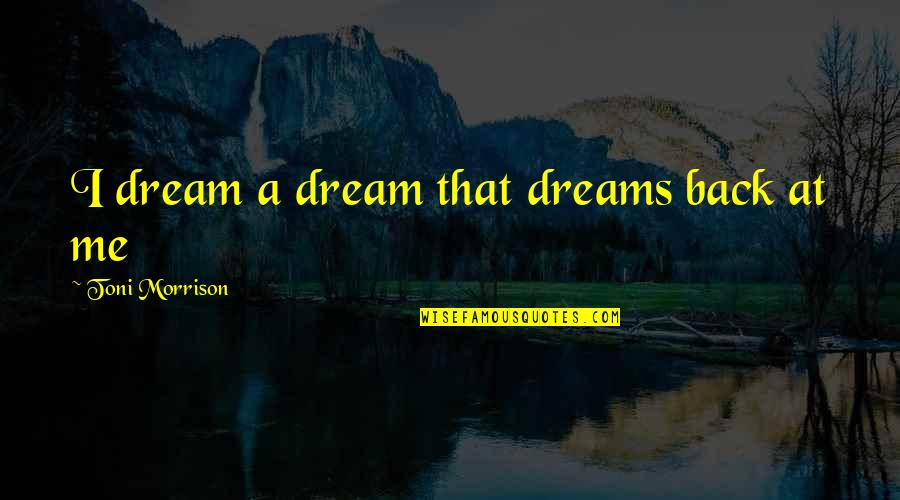 Fitchen Quotes By Toni Morrison: I dream a dream that dreams back at