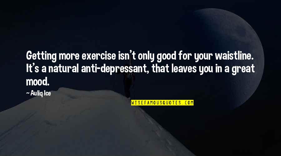 Fitness And Exercise Quotes By Auliq Ice: Getting more exercise isn't only good for your