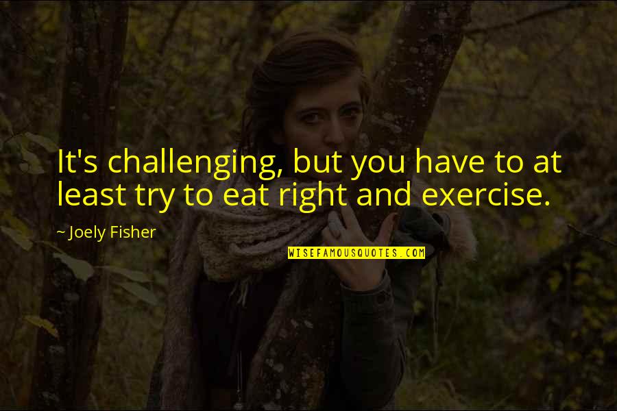 Fitness And Exercise Quotes By Joely Fisher: It's challenging, but you have to at least