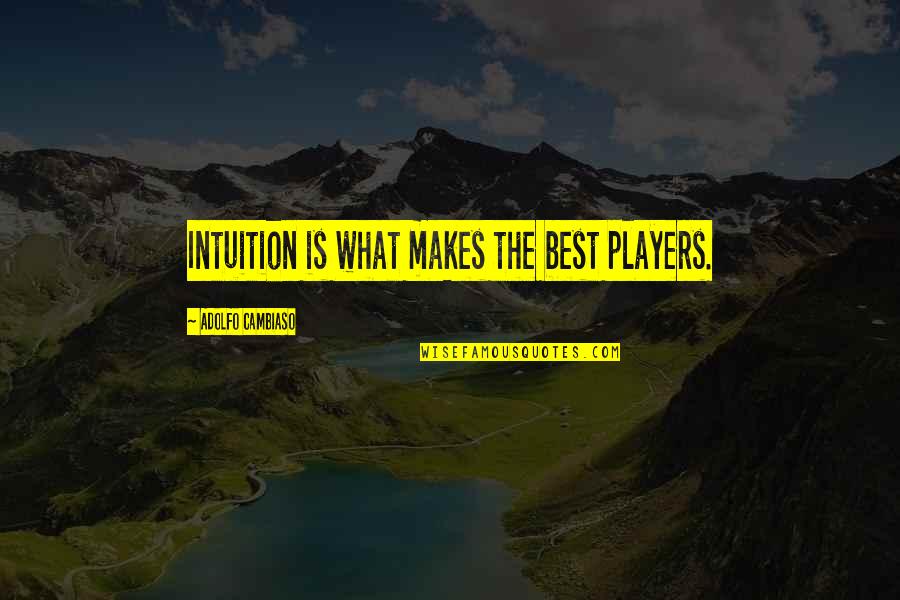 Fitness Is A Lifestyle Quotes By Adolfo Cambiaso: Intuition is what makes the best players.