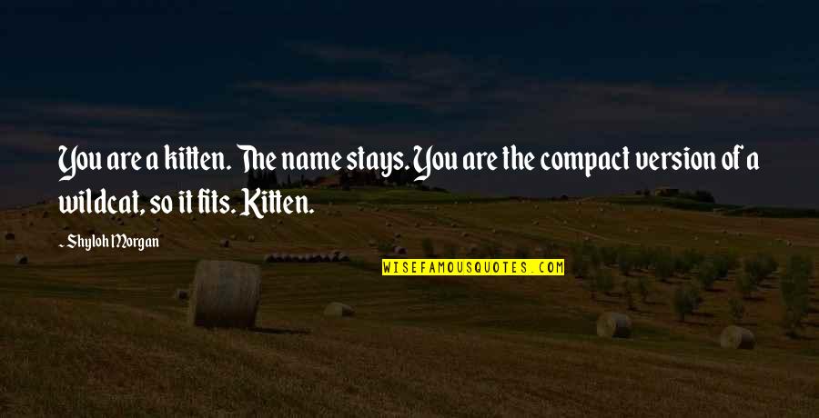 Fits Quotes By Shyloh Morgan: You are a kitten. The name stays. You