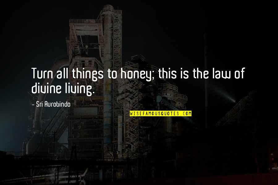 Fitzcarraldo Movie Quotes By Sri Aurobindo: Turn all things to honey; this is the