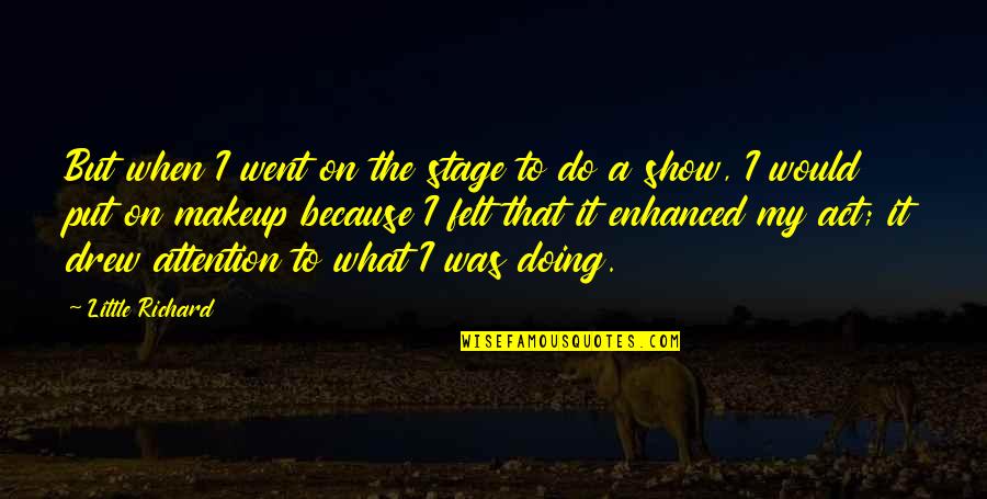 Fitzek Das Quotes By Little Richard: But when I went on the stage to Fitzek Das Quotes By Little Richard: But when I went on the stage to