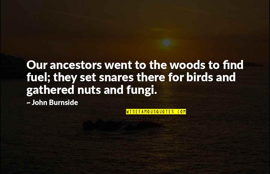 Fitzgerald Great Gatsby Quotes By John Burnside: Our ancestors went to the woods to find