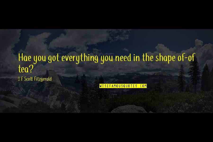 Fitzgerald Quotes By F Scott Fitzgerald: Hae you got everything you need in the