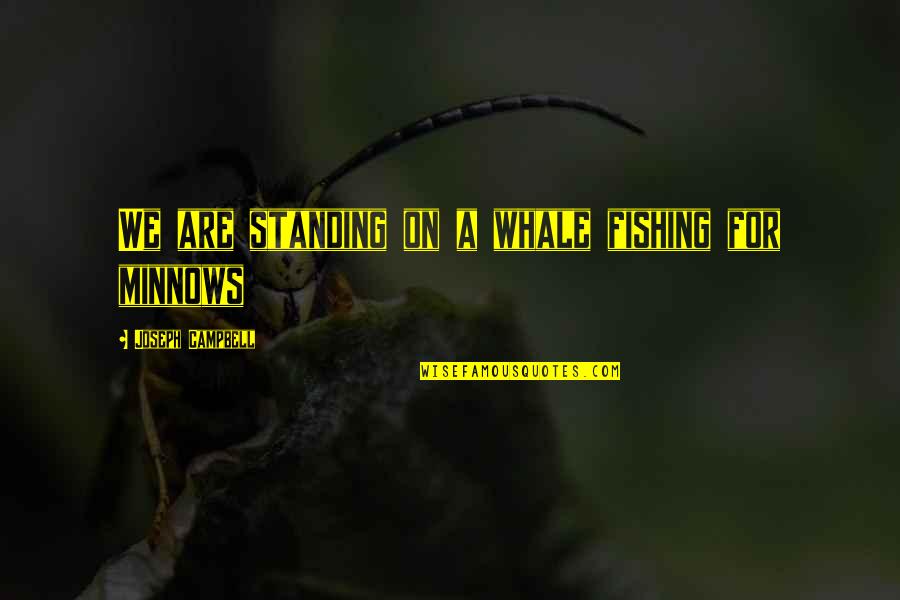 Fitzgerald Tender Is The Night Quotes By Joseph Campbell: We are standing on a whale fishing for
