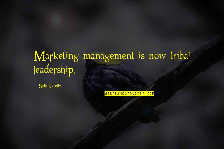 Fitzherbert Prince Quotes By Seth Godin: Marketing management is now tribal leadership.