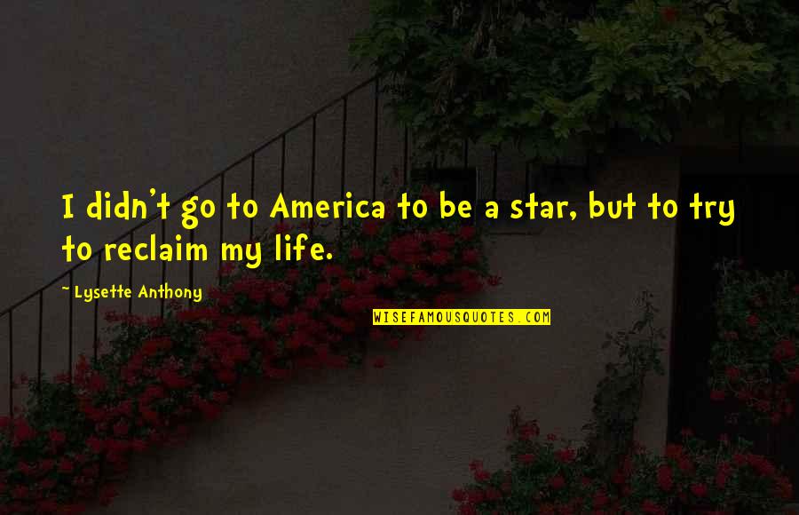Five Chimneys Quotes By Lysette Anthony: I didn't go to America to be a