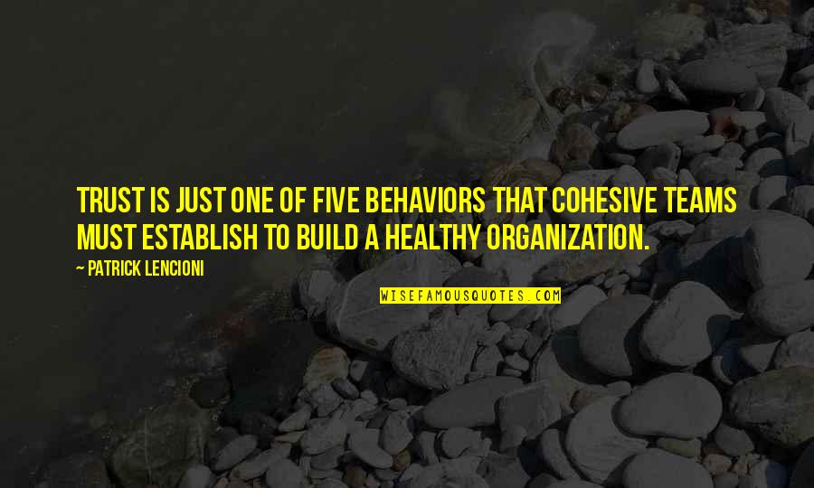 Five Just Quotes By Patrick Lencioni: Trust is just one of five behaviors that