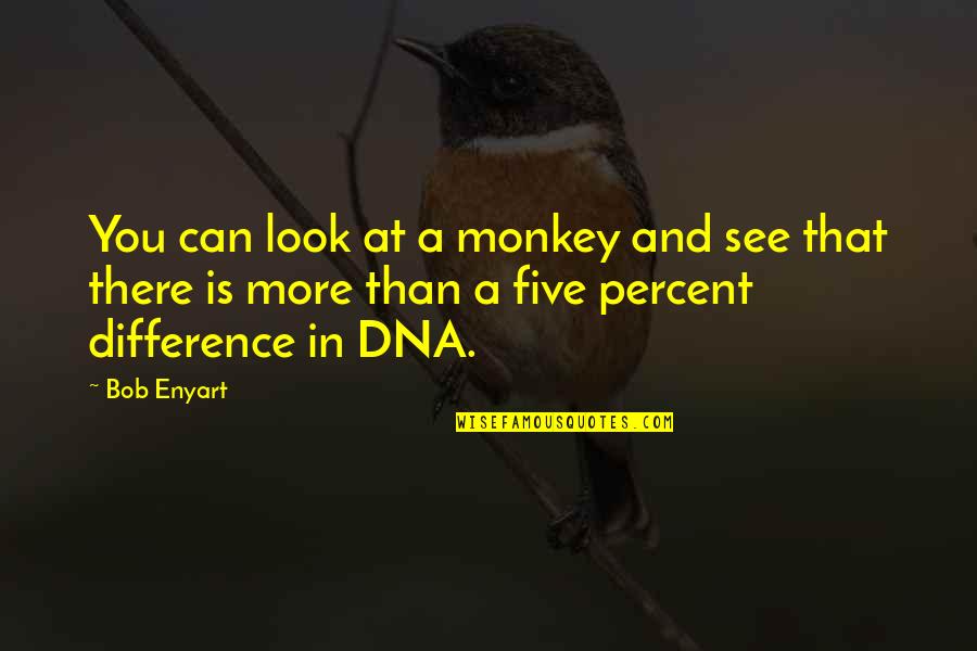 Five Percent Quotes By Bob Enyart: You can look at a monkey and see