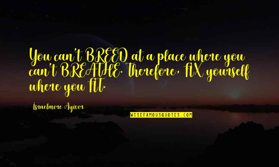 Fix It Yourself Quotes By Israelmore Ayivor: You can't BREED at a place where you