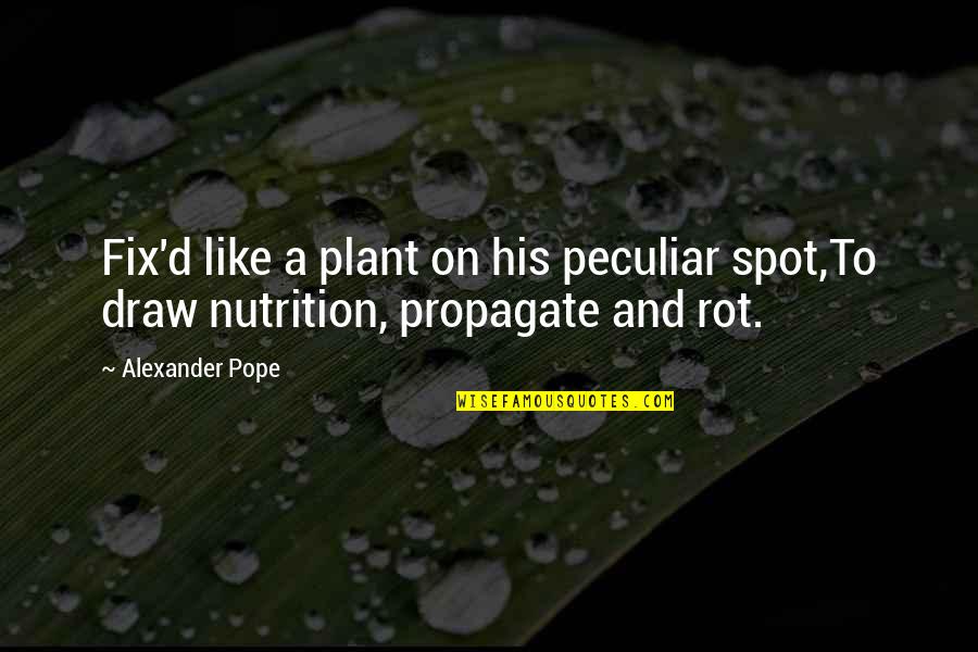 Fix My Life Quotes By Alexander Pope: Fix'd like a plant on his peculiar spot,To