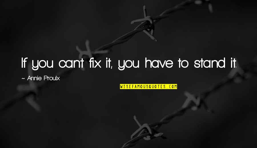 Fix You Quotes By Annie Proulx: If you can't fix it, you have to