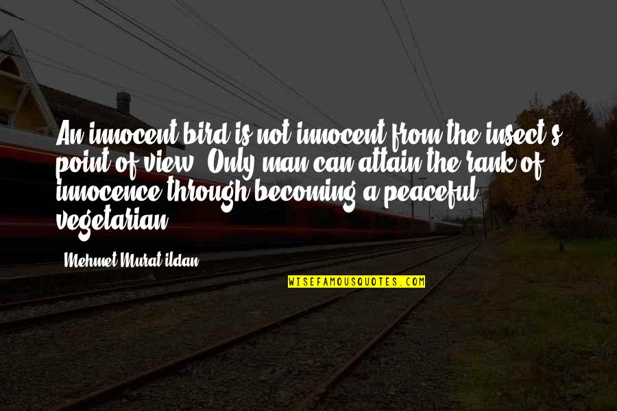 Fixar Quotes By Mehmet Murat Ildan: An innocent bird is not innocent from the