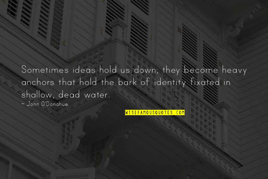 Fixated Quotes By John O'Donohue: Sometimes ideas hold us down; they become heavy
