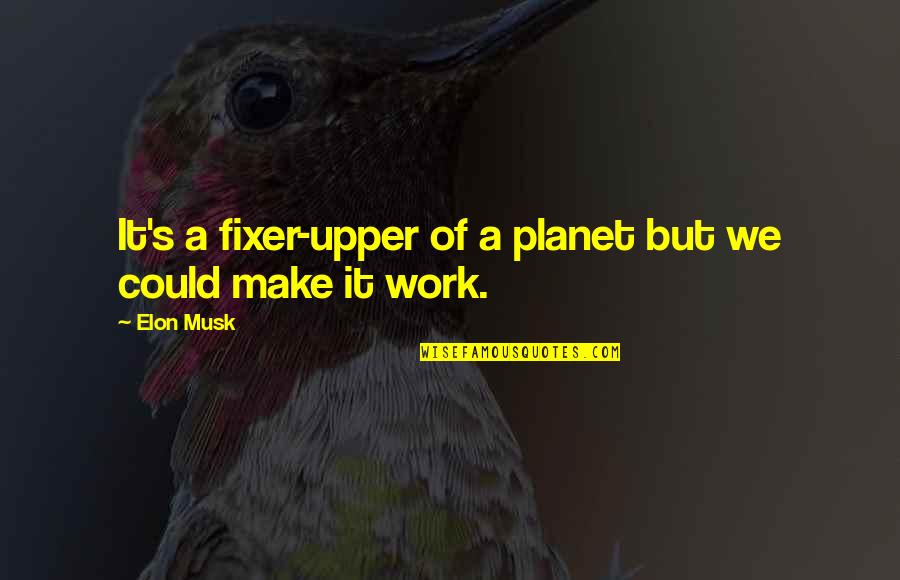Fixer Quotes By Elon Musk: It's a fixer-upper of a planet but we