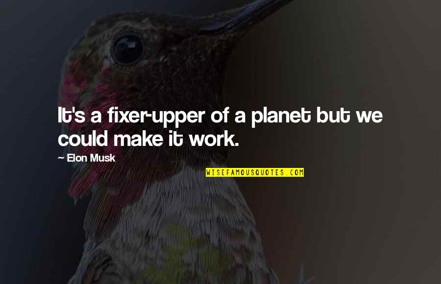 Fixer Upper Quotes By Elon Musk: It's a fixer-upper of a planet but we