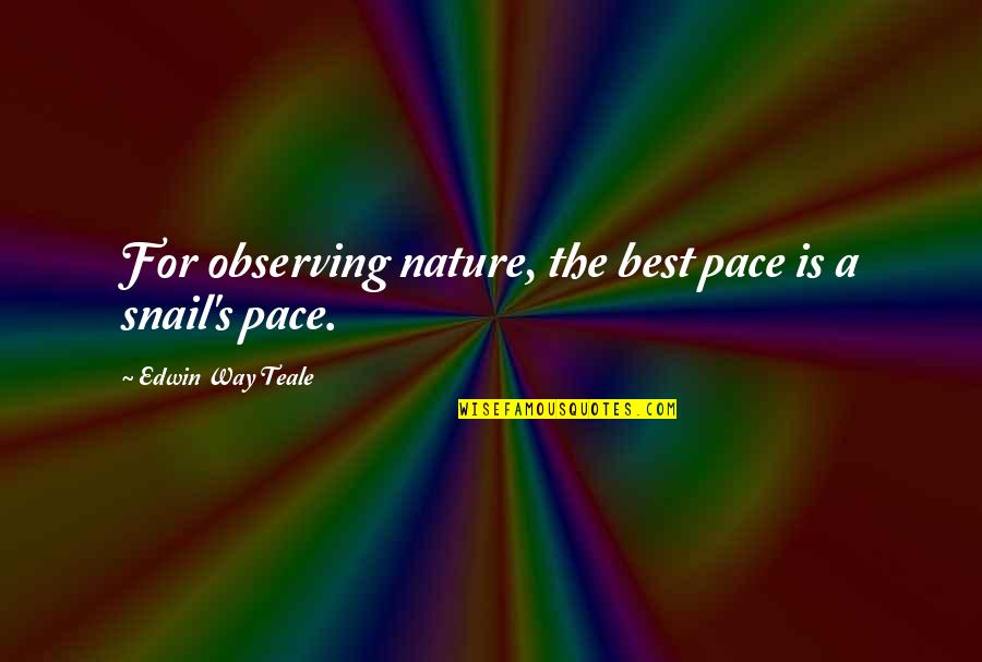 Fk U Quotes By Edwin Way Teale: For observing nature, the best pace is a Fk U Quotes By Edwin Way Teale: For observing nature, the best pace is a
