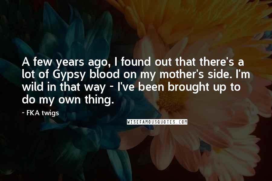 FKA Twigs quotes: A few years ago, I found out that there's a lot of Gypsy blood on my mother's side. I'm wild in that way - I've been brought up to do