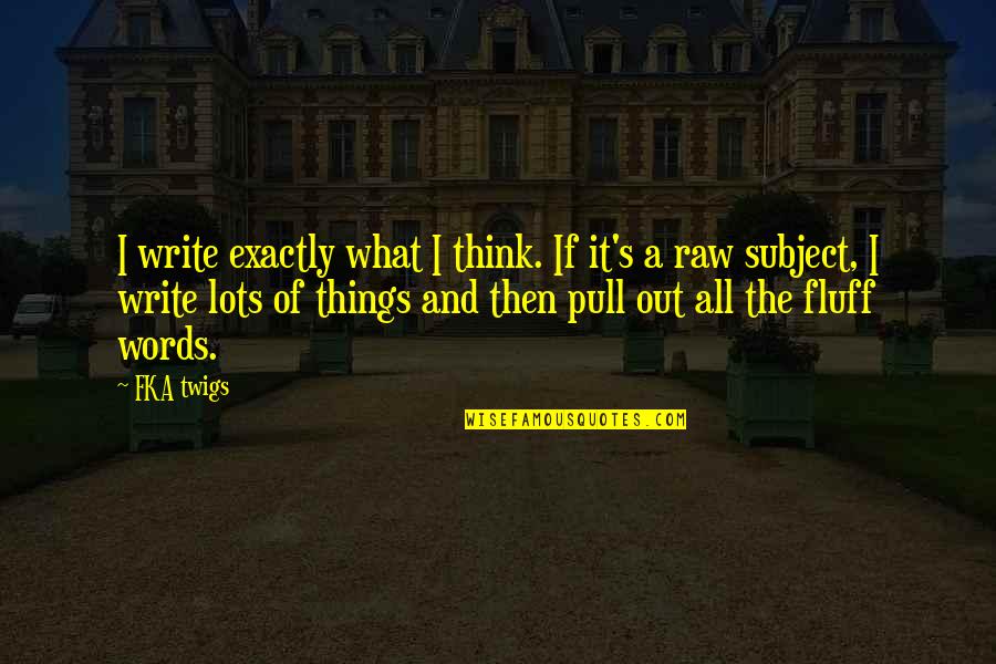 Fka Twigs Quotes By FKA Twigs: I write exactly what I think. If it's
