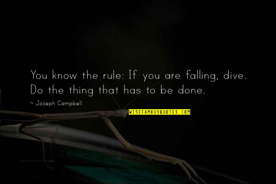 Flag Flies Over The White House Quotes By Joseph Campbell: You know the rule: If you are falling,