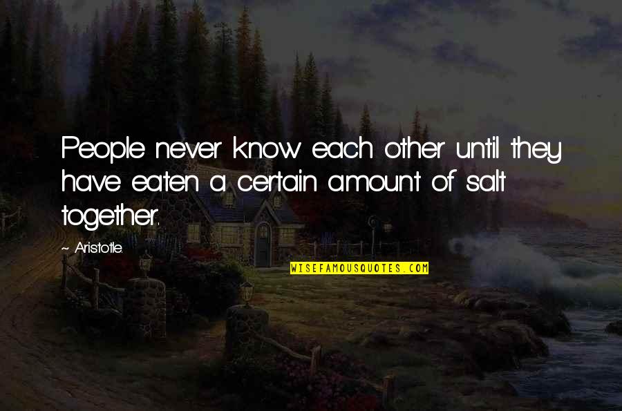 Flagler Quotes By Aristotle.: People never know each other until they have