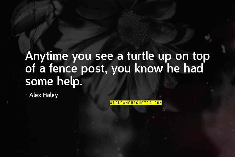 Flagrantior Quotes By Alex Haley: Anytime you see a turtle up on top