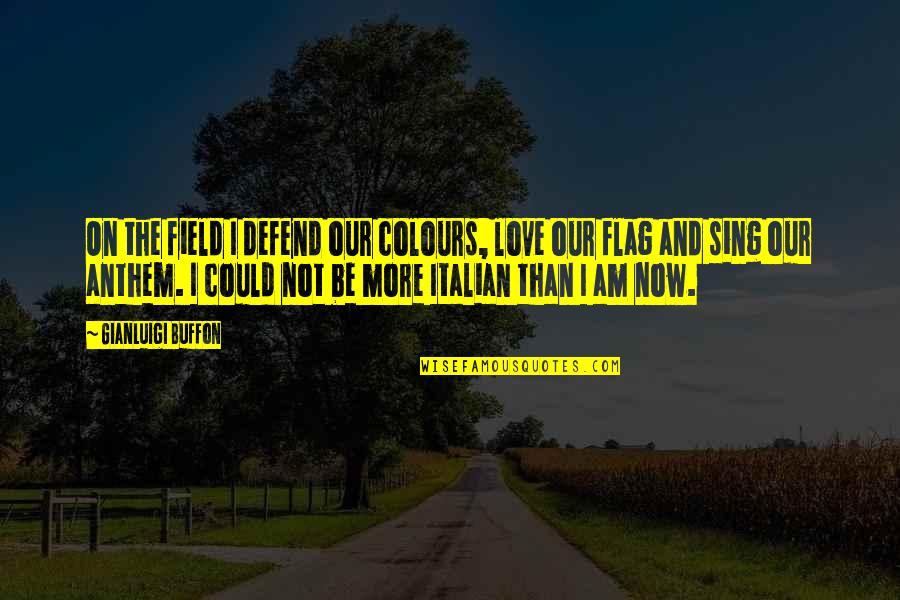 Flags Quotes By Gianluigi Buffon: On the field I defend our colours, love