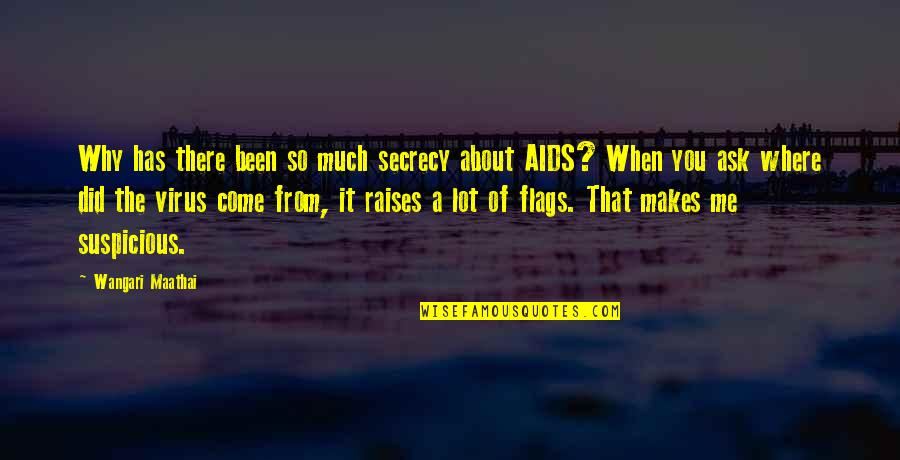 Flags Quotes By Wangari Maathai: Why has there been so much secrecy about