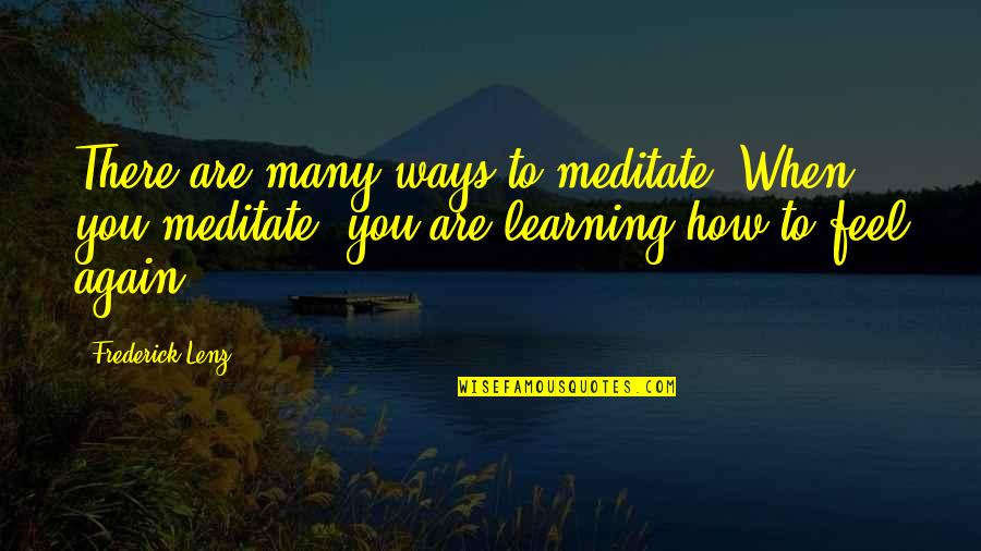 Flahertys Webster Quotes By Frederick Lenz: There are many ways to meditate. When you