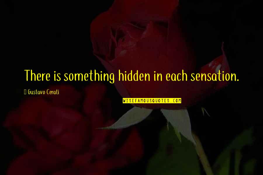 Flamands Quotes By Gustavo Cerati: There is something hidden in each sensation.