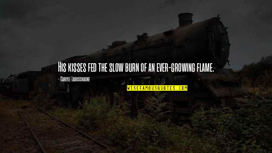 Flame Burn Quotes By Carlyle Labuschagne: His kisses fed the slow burn of an