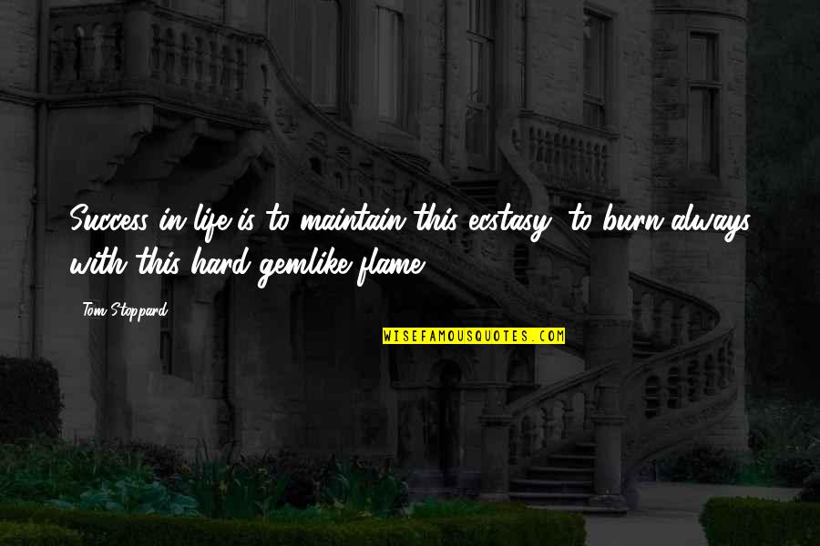 Flame Burn Quotes By Tom Stoppard: Success in life is to maintain this ecstasy,