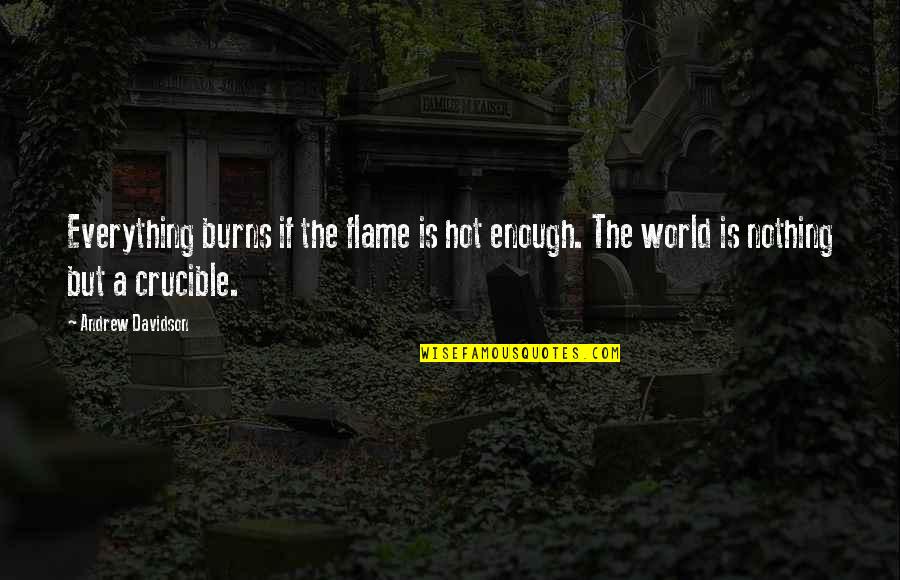 Flame Quotes By Andrew Davidson: Everything burns if the flame is hot enough.