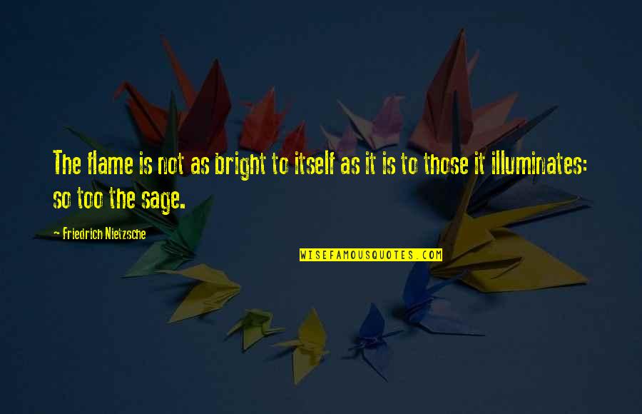 Flame Quotes By Friedrich Nietzsche: The flame is not as bright to itself Flame Quotes By Friedrich Nietzsche: The flame is not as bright to itself