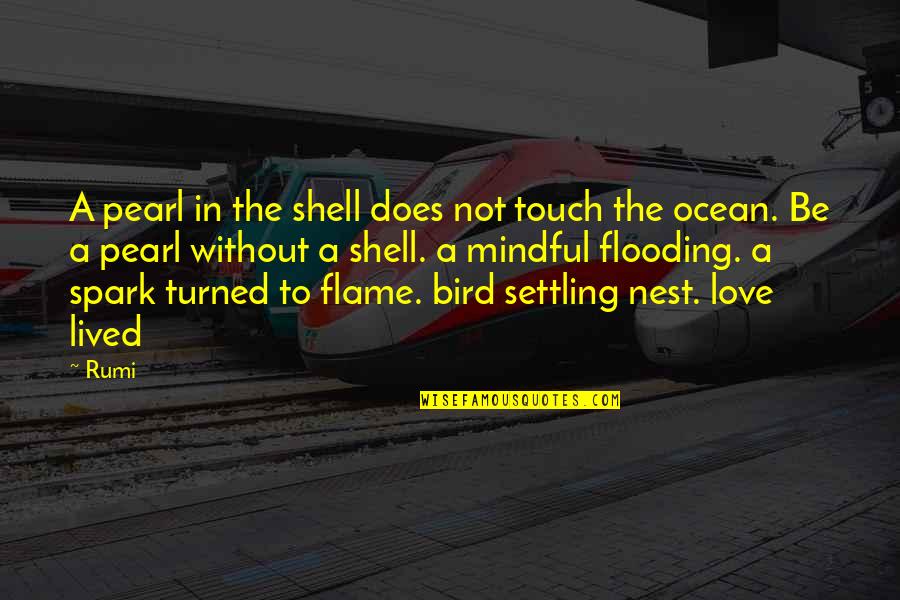 Flame Quotes By Rumi: A pearl in the shell does not touch Flame Quotes By Rumi: A pearl in the shell does not touch