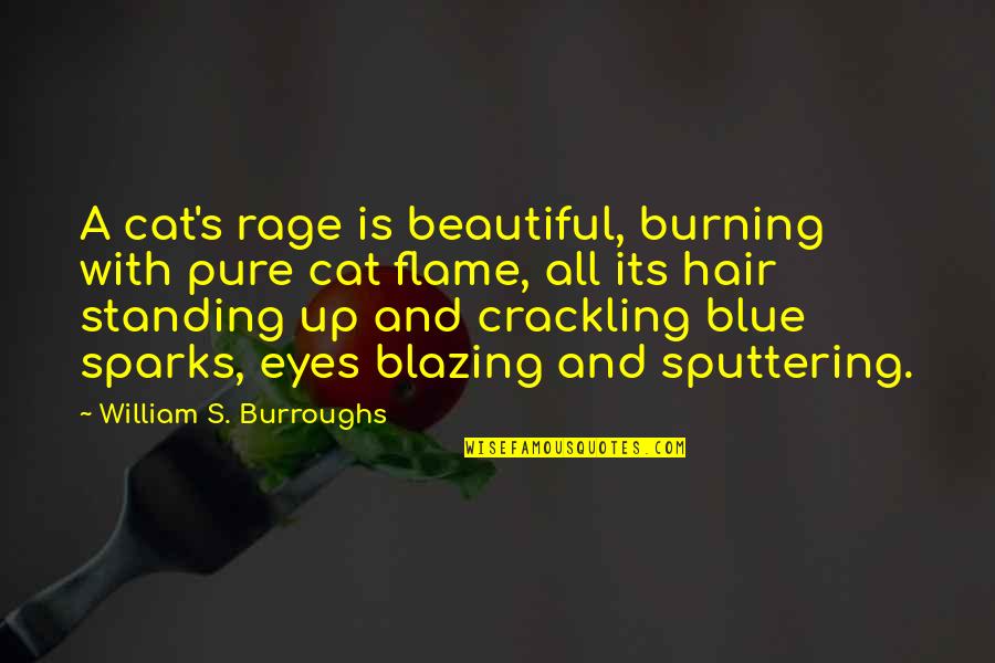 Flame Quotes By William S. Burroughs: A cat's rage is beautiful, burning with pure Flame Quotes By William S. Burroughs: A cat's rage is beautiful, burning with pure