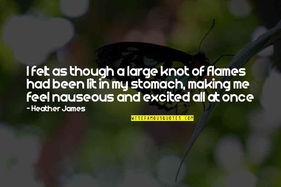 Flames All Quotes By Heather James: I felt as though a large knot of