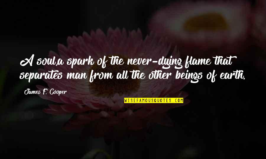 Flames All Quotes By James F. Cooper: A soul,a spark of the never-dying flame that