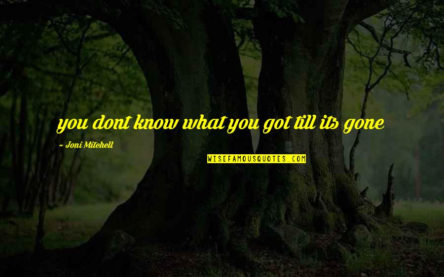 Flames Of War Quotes By Joni Mitchell: you dont know what you got till its Flames Of War Quotes By Joni Mitchell: you dont know what you got till its