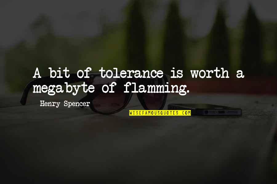 Flamming Quotes By Henry Spencer: A bit of tolerance is worth a megabyte