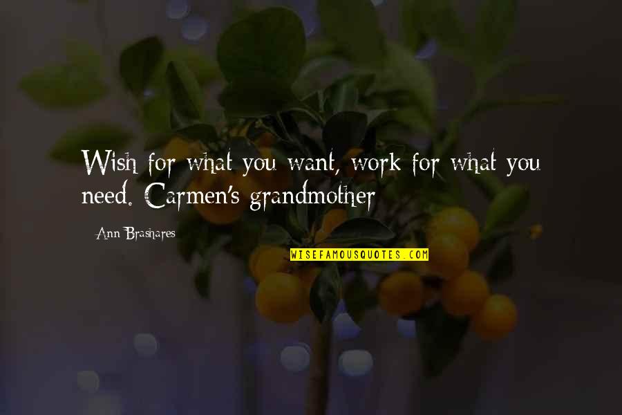 Flanger Quotes By Ann Brashares: Wish for what you want, work for what