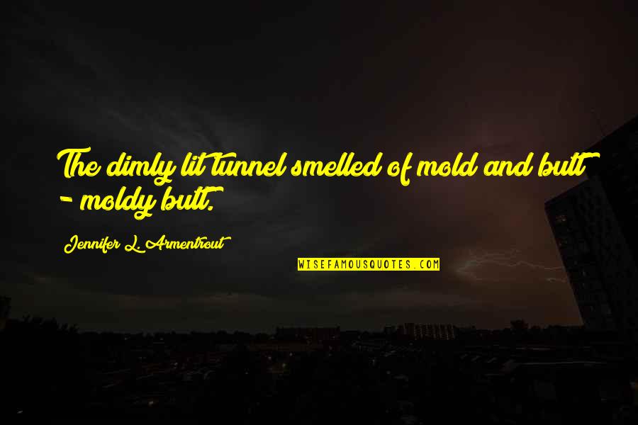 Flanger Quotes By Jennifer L. Armentrout: The dimly lit tunnel smelled of mold and Flanger Quotes By Jennifer L. Armentrout: The dimly lit tunnel smelled of mold and