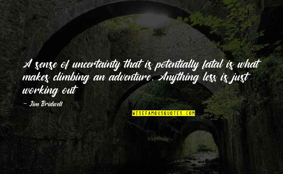 Flanken Cut Quotes By Jim Bridwell: A sense of uncertainty that is potentially fatal