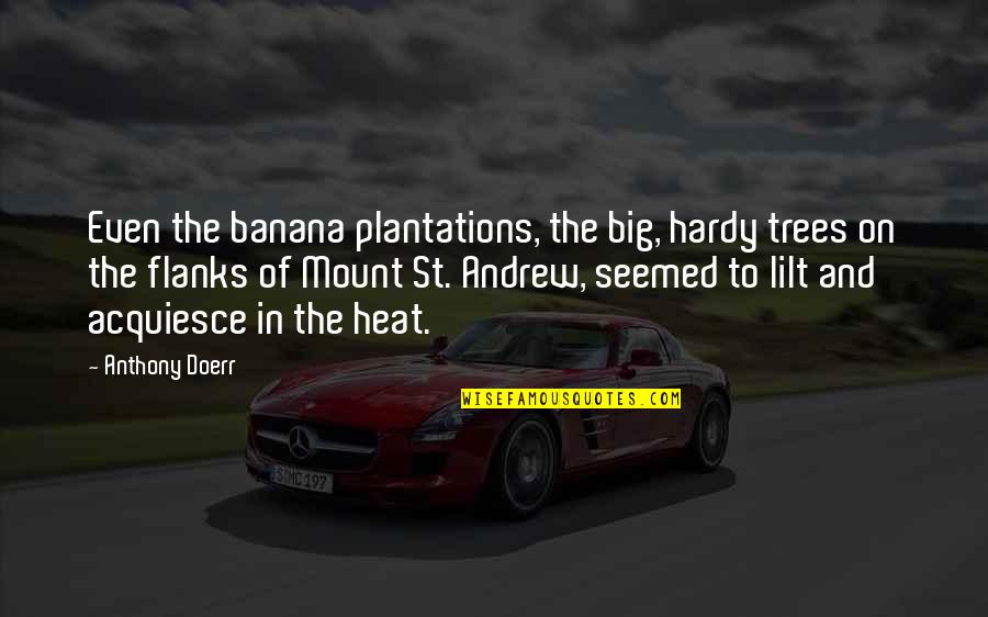 Flanks Quotes By Anthony Doerr: Even the banana plantations, the big, hardy trees Flanks Quotes By Anthony Doerr: Even the banana plantations, the big, hardy trees