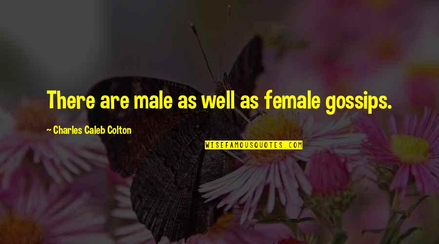 Flannel Shirt Quotes By Charles Caleb Colton: There are male as well as female gossips.