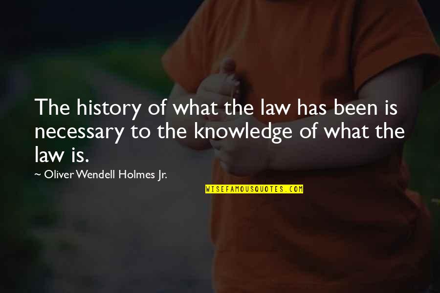 Flap Your Wings Quotes By Oliver Wendell Holmes Jr.: The history of what the law has been